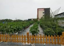 5月廣州免費(fèi)科普一日游又來了,這里有報(bào)名游玩全攻略