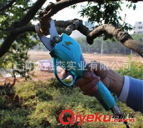 電動園藝剪刀 電動剪刀、果樹電動修枝剪批發、園林園藝修枝剪批發、樹枝修剪機圖片|電動園藝剪刀 電動剪刀、果樹電動修枝剪批發、園林園藝修枝剪批發、樹枝修剪機產品圖片由上海杰魁森實業公司生產提供-