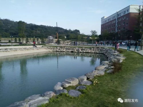 為了鄉村振興,這些企業使出渾身解數