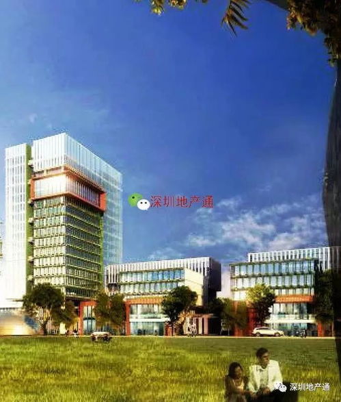 保稅區舊廠重建后,人就像在公園里辦公