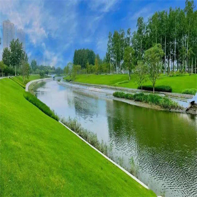 云南迪慶常青草種草籽專賣店 邊坡綠化與園林實業(yè)的專業(yè)選擇