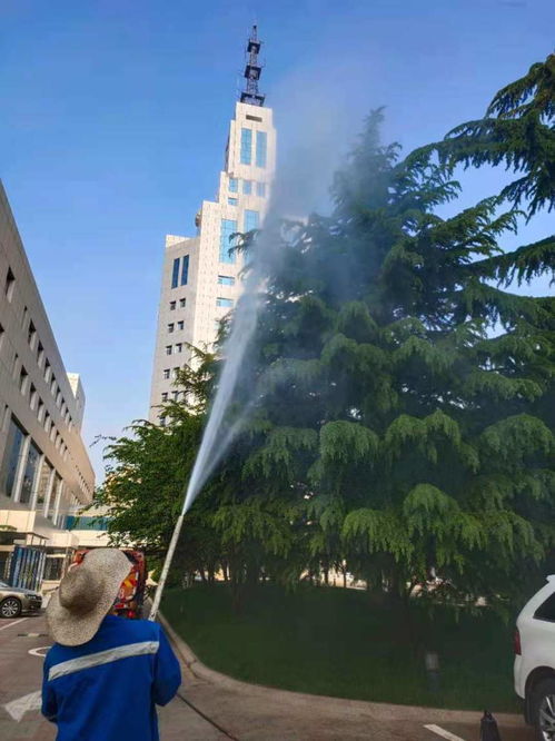 2021歡迎訪問(wèn) 專業(yè)出租園林噴藥車，助力各類樹(shù)木養(yǎng)護(hù)——【實(shí)業(yè)集團(tuán)】園林實(shí)業(yè)